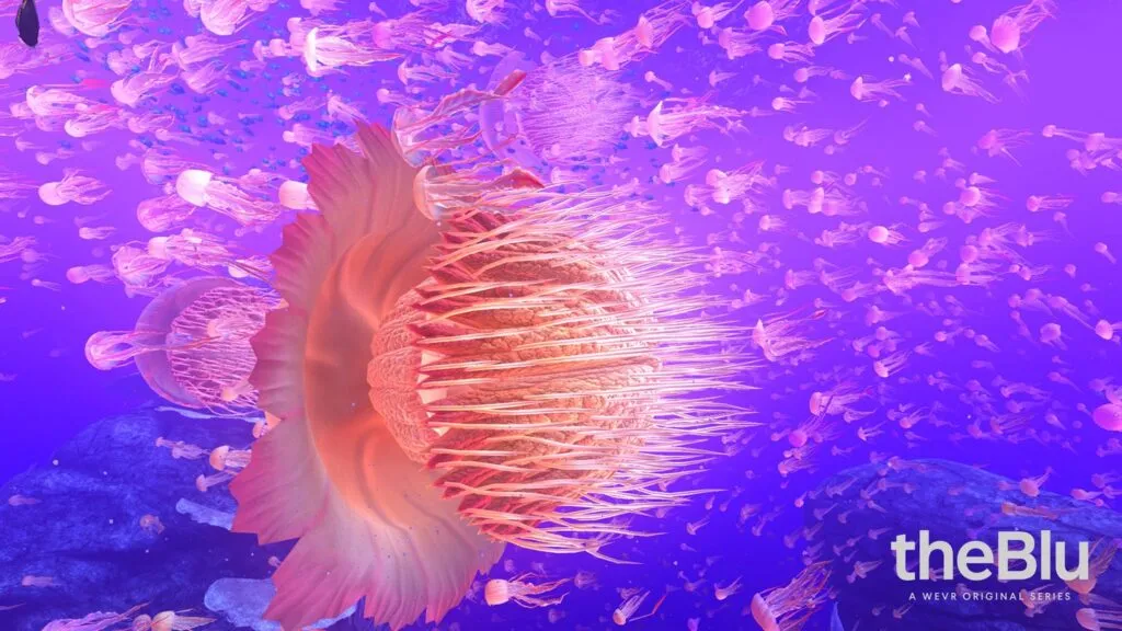 virtual reality underwater